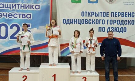 открытое первенство Одинцовского городского округа по дзюдо, посвященное Дню Защитника Отечества.