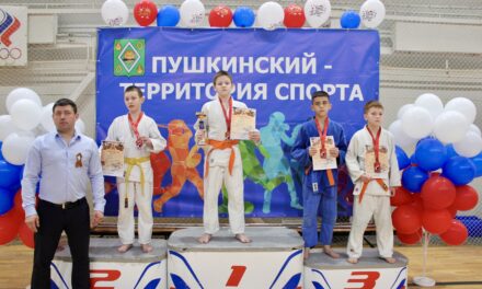 традиционный открытый турнир городского округа Пушкинский, посвящённый Дню Победы в Великой Отечественной войне.